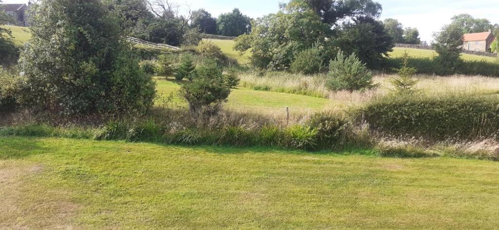 Athelas, Self Catering Cottage Whitby Exteriör bild
