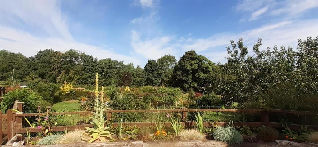 Athelas, Self Catering Cottage Whitby Exteriör bild